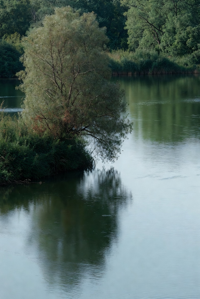Meditatie vlakbij Udenhout